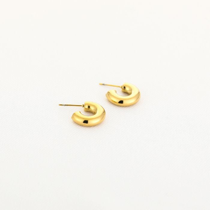 Oorbellen hoops mini