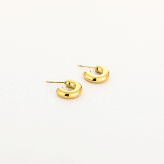 Oorbellen hoops mini